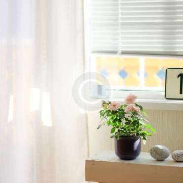 Blinds